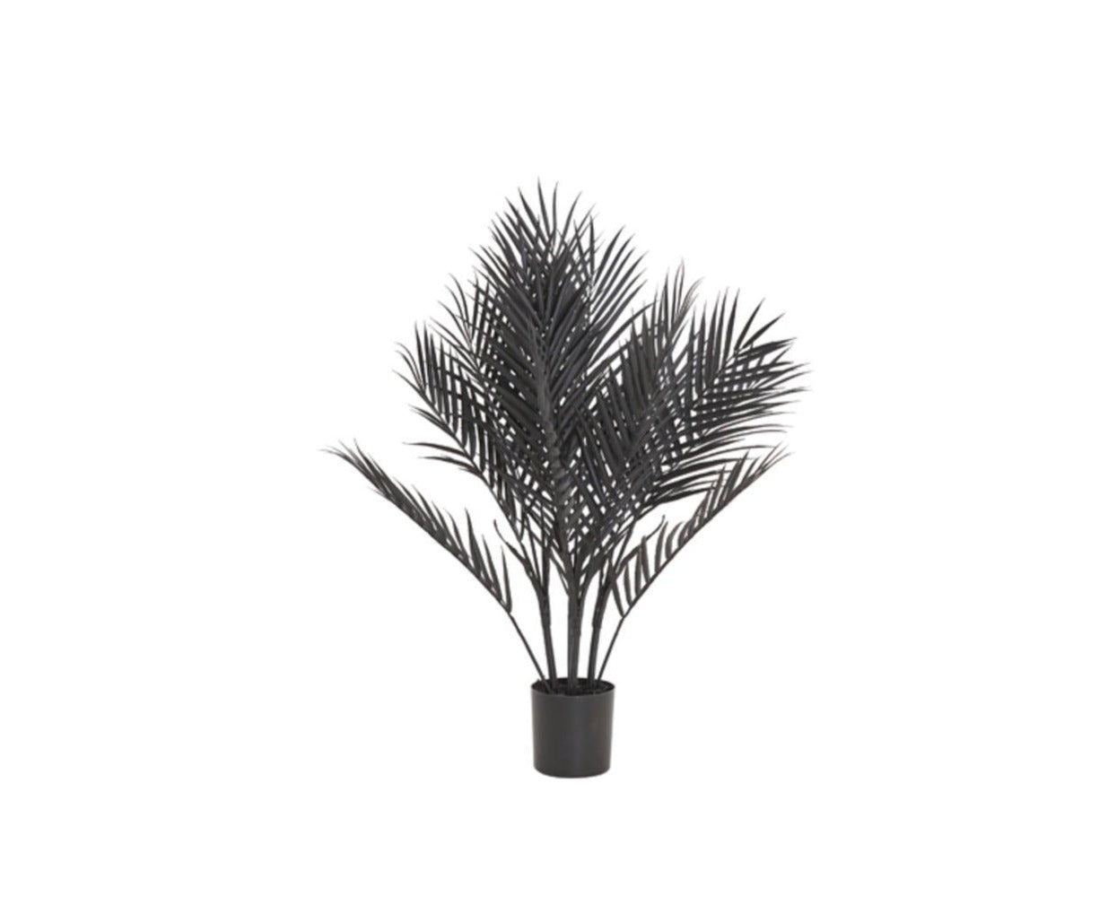 Home | Plant zwart