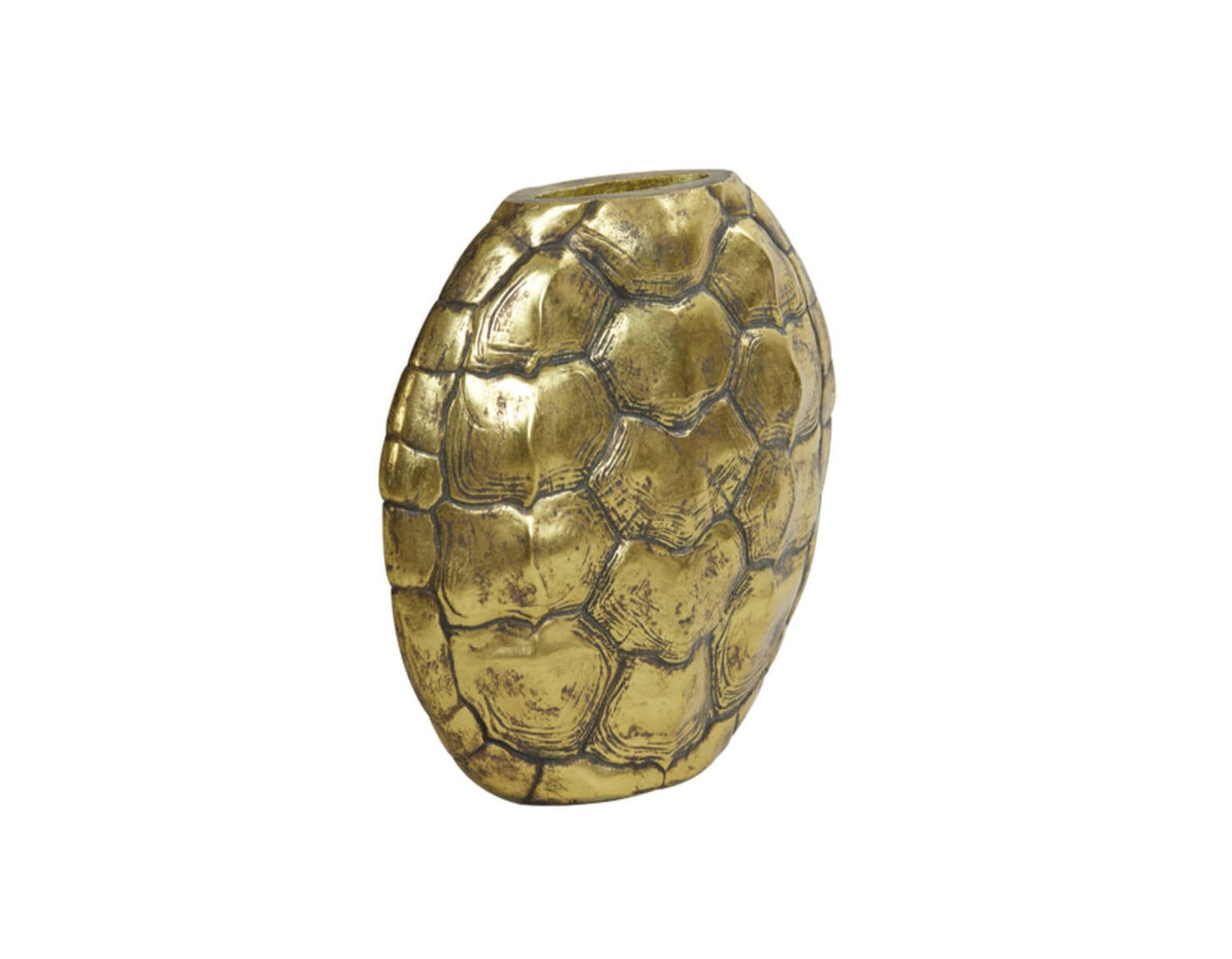 Home | Turtle vaas luxe