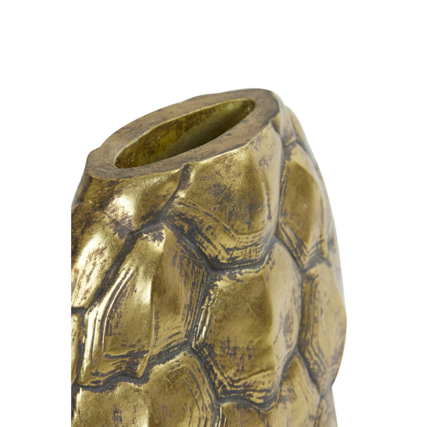 Home | Turtle vaas luxe